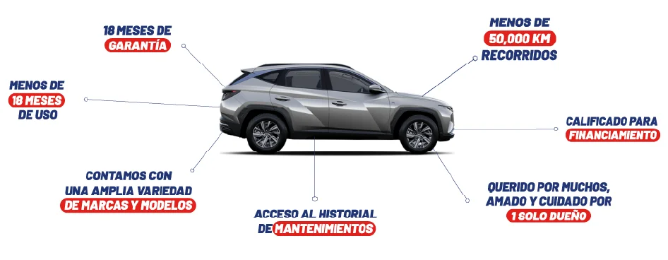 CONOCE LA ANATOMÍA DE NUESTROS SEMINUEVOS