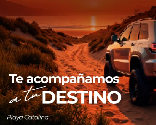 ¡Alquila tu vehículo ahora!